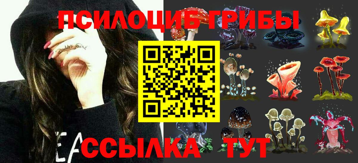Галлюциногенные грибы Psilocybe  Вход с VPN  Ижевск  Галлюциногенные грибы Psilocybine cubensis 