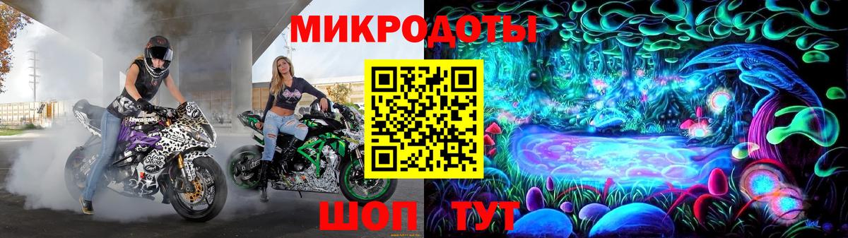 Псилоцибиновые грибы Psilocybine cubensis Ижевск